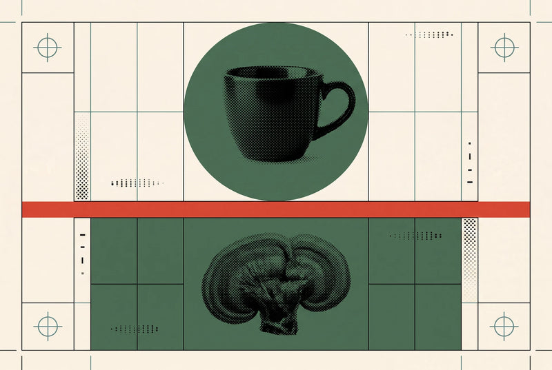 Editorial visual for Mushroom Coffee vs Extracts: What’s Actually Different.